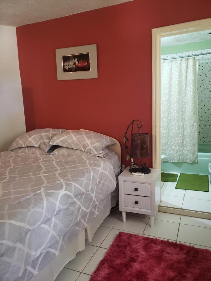 Studio Apartment! Ocho Rios Exteriör bild