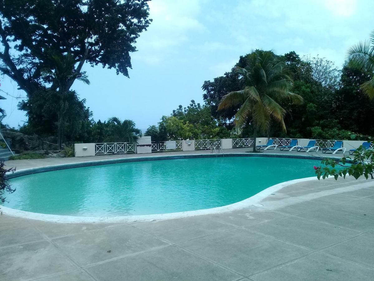 Studio Apartment! Ocho Rios Exteriör bild